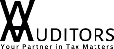 V Auditors V Auditors logo